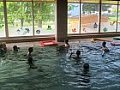 Plavecký výcvik 22.5.2017